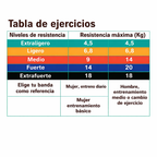 💪 Pack Fuerza Total: Bandas Elásticas de Ejercicio + Fortalecedor de Agarre Gratis
